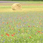 Guest house Villacolle